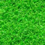 The Rise of Eco-Friendly Artificial Turf in the UK